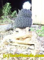 /home//u458753944/public_html/sourcegallery////Roxborough Toad Detour/2020/2020-04-05/92437752_10222212435608768_4089526958554087424_o.jpg